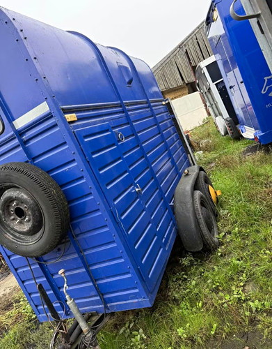 Rice single horse trailer - horse,