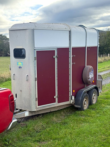 Ifor williams hb505 horse - hb505, 2