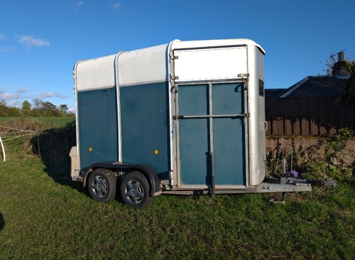 Ifor williams horse - ifor,