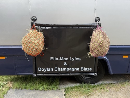 Horse box trailer - box, kick