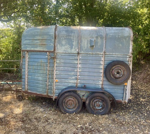 Rice horse trailer - trailer, *aluminium